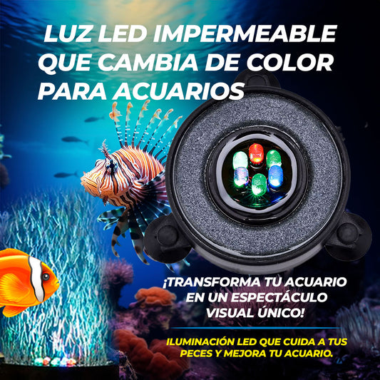 LUZ LED Y BURBUJAS PARA ACUARIO